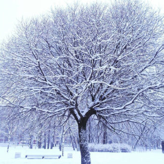 Sketches in snow